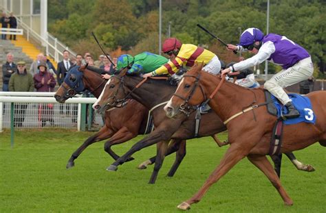 horse racing outsider of the day|Iba pa.